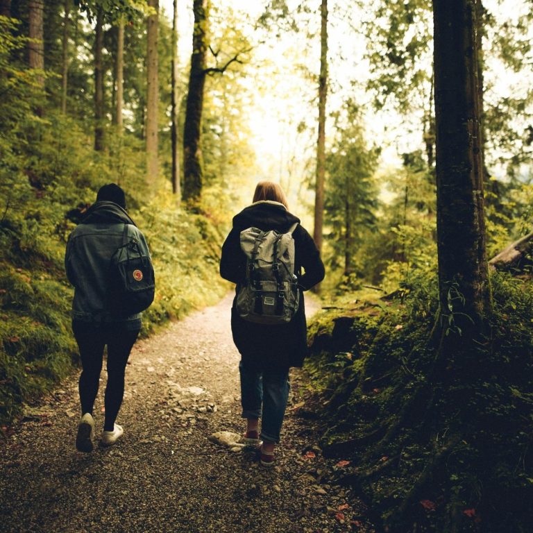 Wenn der See still wird, erkennst du dich selbst – Coaching in der Natur. Coach und Klient gehen einen schmalen Waldweg entlang, umgeben von Bäumen.